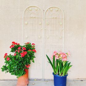 4 Pack Metal Garden Trellis 71" x 19.7" Rustproof Trellis for Climbing Plants Outdoor Flower Support